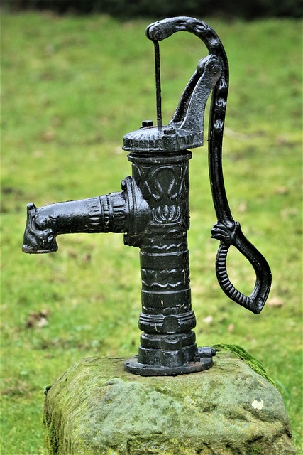 aquaponics pumps filters and pipework integrated system Ireland